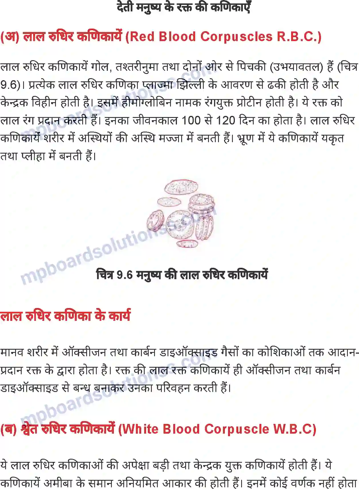 MP Board Book for Class 7 Science जंतुओं एवं पौधों में परिवहन Image 6