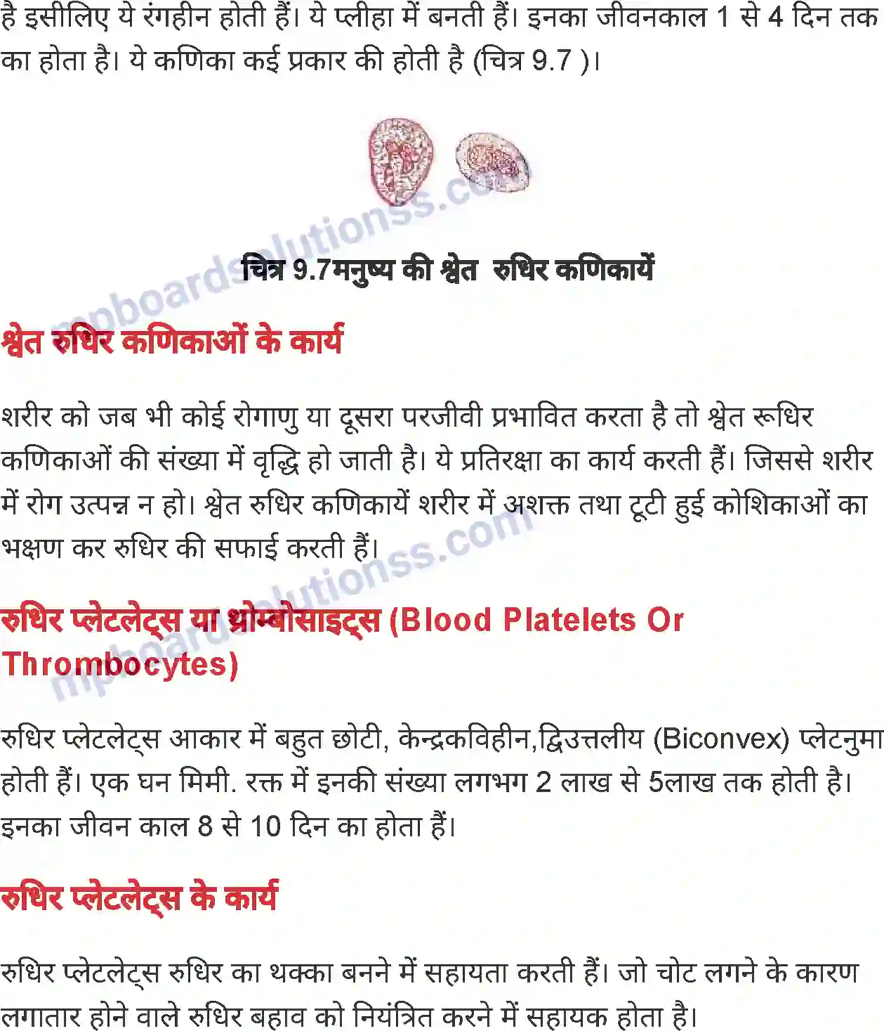 MP Board Book for Class 7 Science जंतुओं एवं पौधों में परिवहन Image 7