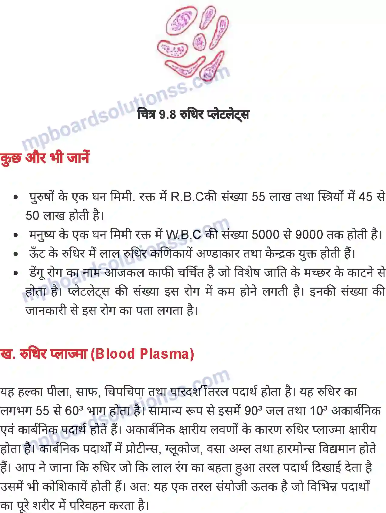 MP Board Book for Class 7 Science जंतुओं एवं पौधों में परिवहन Image 8