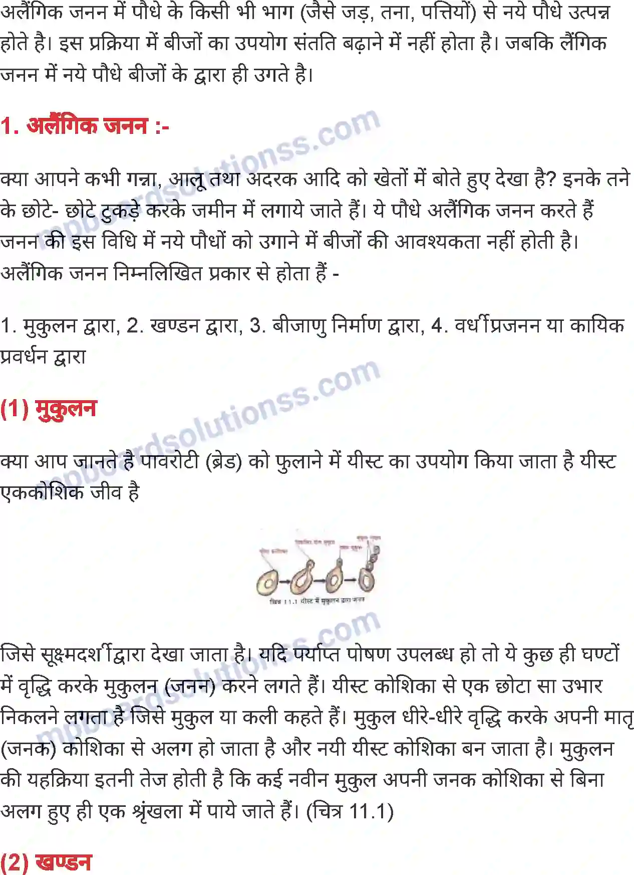 MP Board Book for Class 7 Science पौधों में जनन Image 2