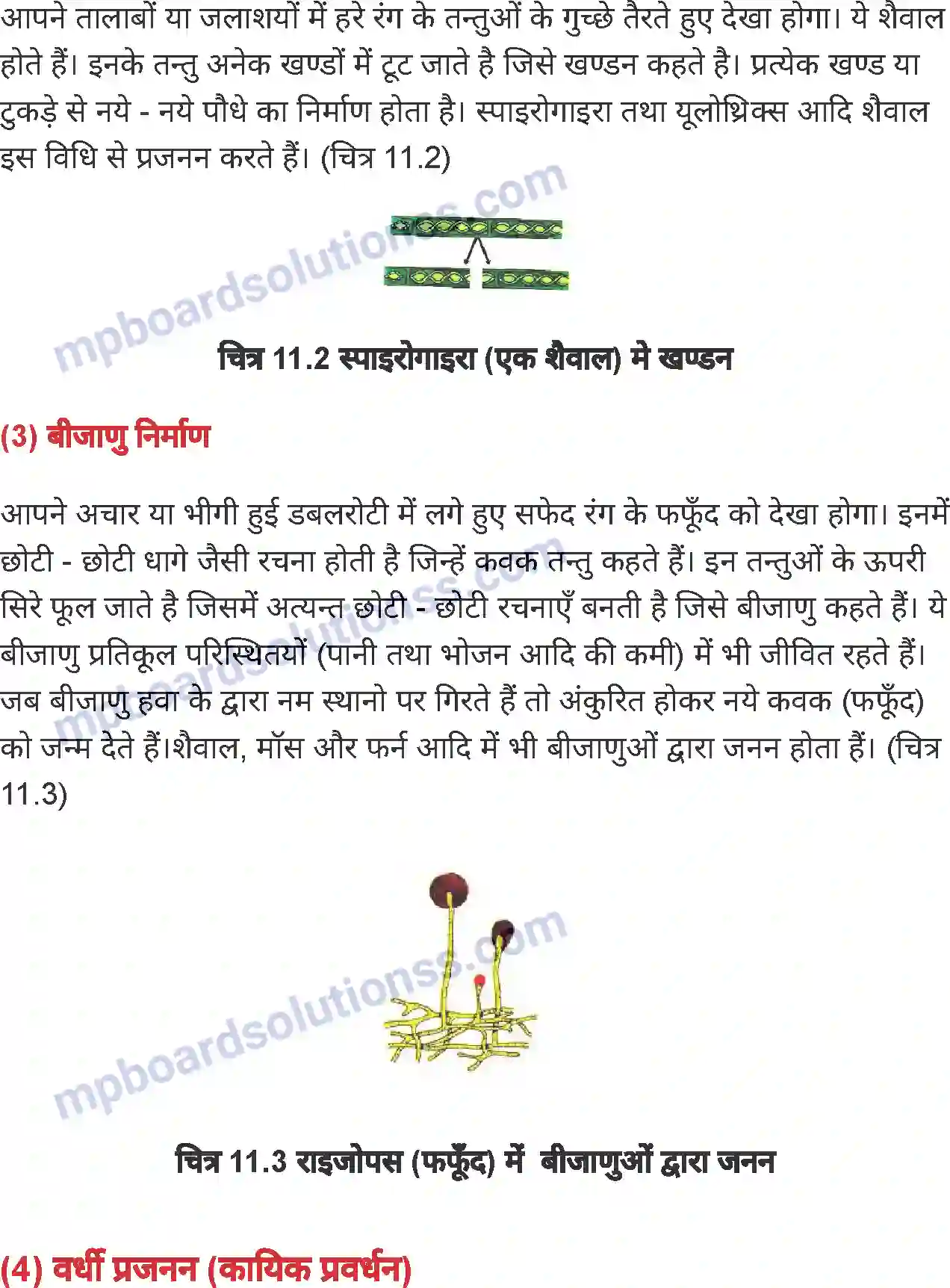 MP Board Book for Class 7 Science पौधों में जनन Image 3