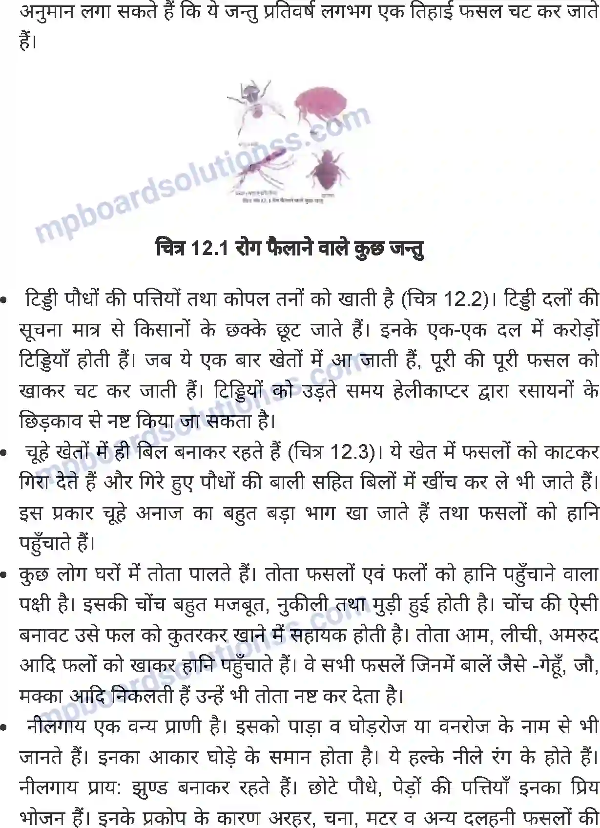 MP Board Book for Class 7 Science लाभदायक एवं हानिकारक पौधे तथा जंतु Image 4