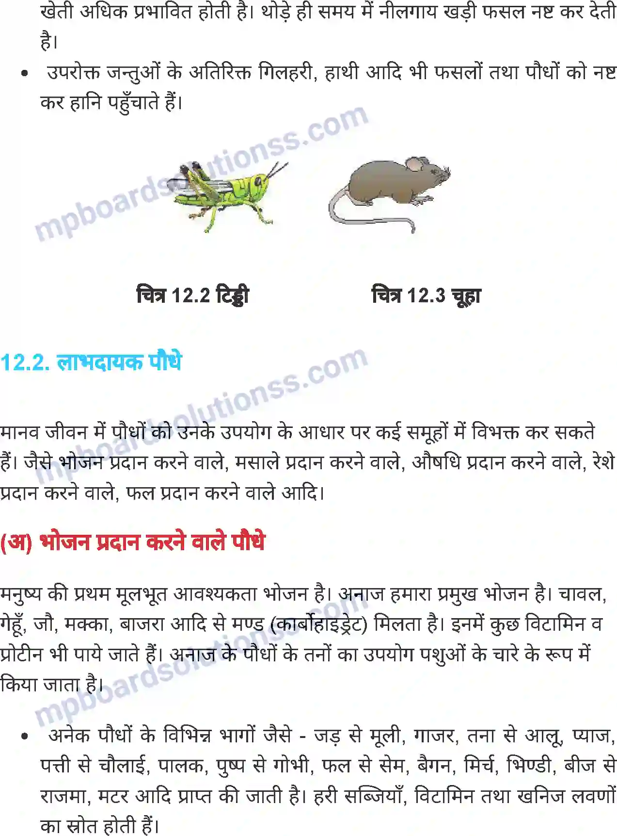 MP Board Book for Class 7 Science लाभदायक एवं हानिकारक पौधे तथा जंतु Image 5