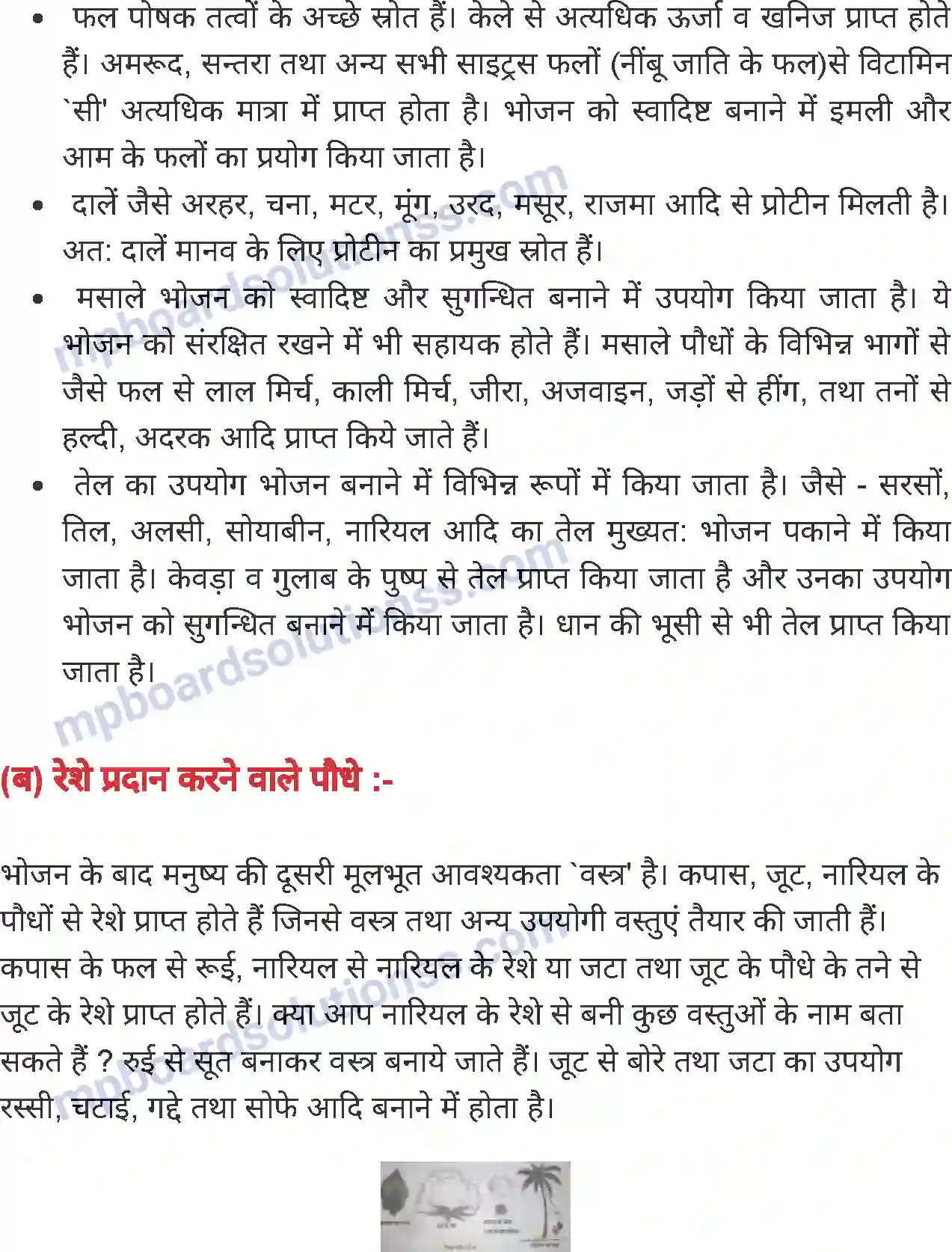 MP Board Book for Class 7 Science लाभदायक एवं हानिकारक पौधे तथा जंतु Image 6