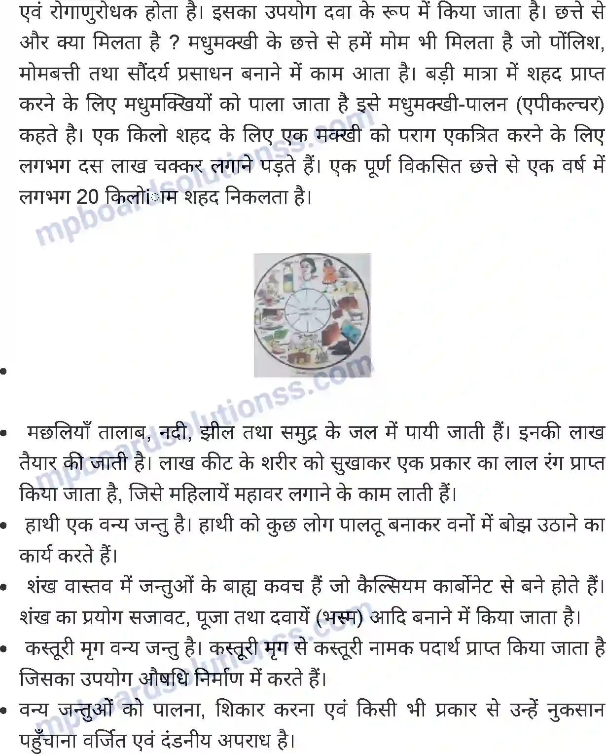MP Board Book for Class 7 Science लाभदायक एवं हानिकारक पौधे तथा जंतु Image 9