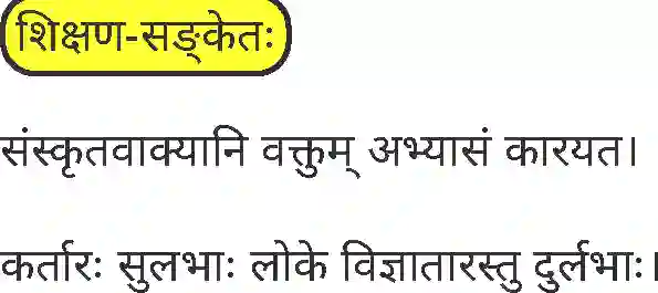 MP Board Book for Class 7 Sanskrit पुनरावलोकनम् Image 8