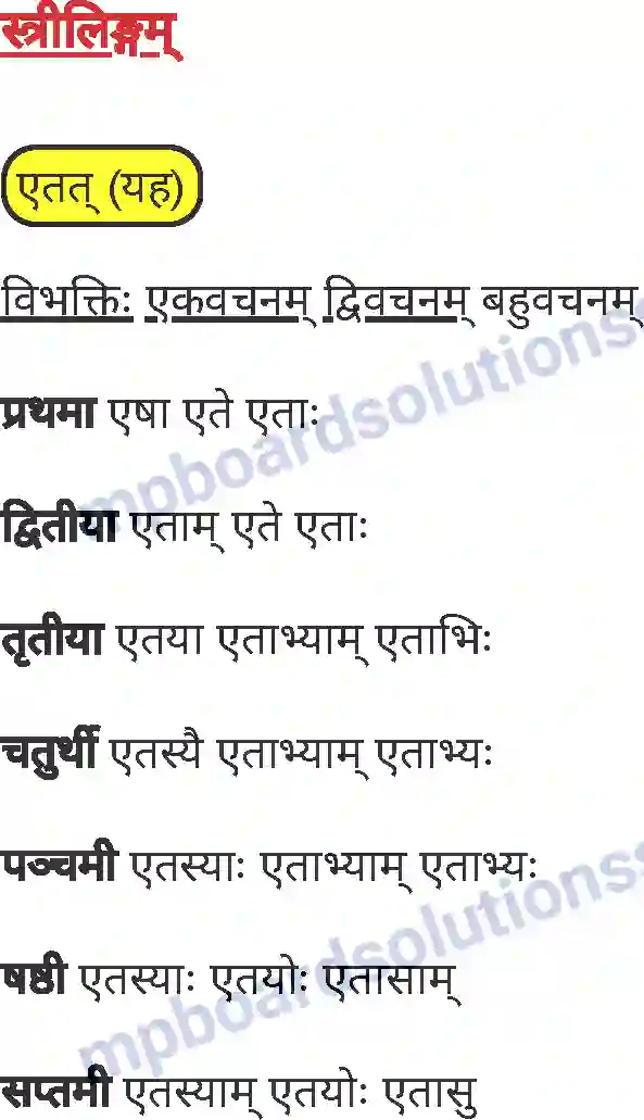 MP Board Book for Class 7 Sanskrit व्याकरण Image 17