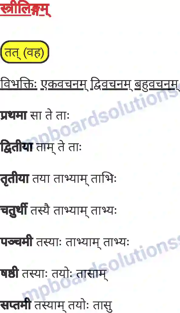 MP Board Book for Class 7 Sanskrit व्याकरण Image 20