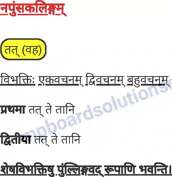 MP Board Book for Class 7 Sanskrit व्याकरण Image 21