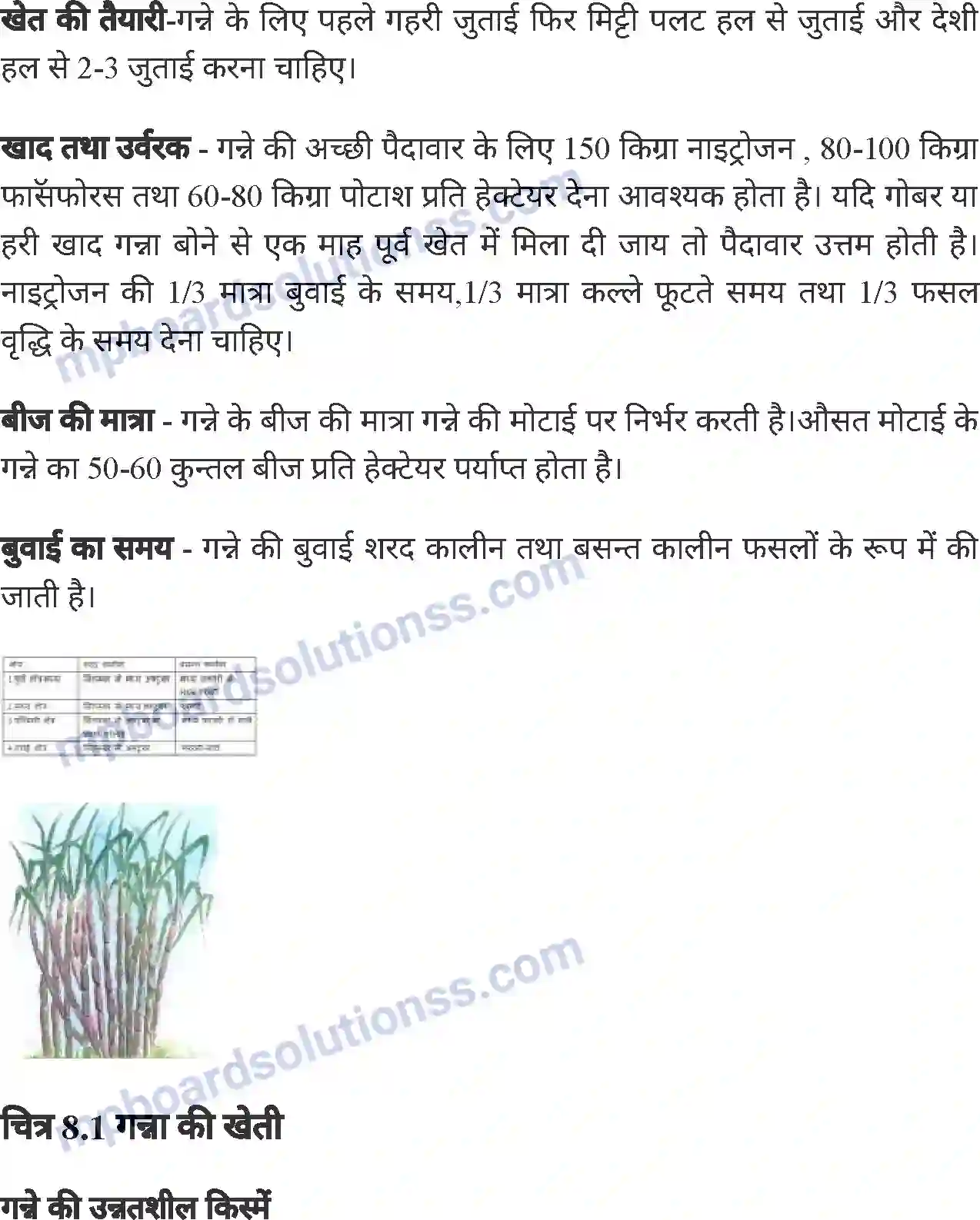 MP Board Book for Class 8 Agriculture सामान्य फसलें एवं फसल चक्र Image 2