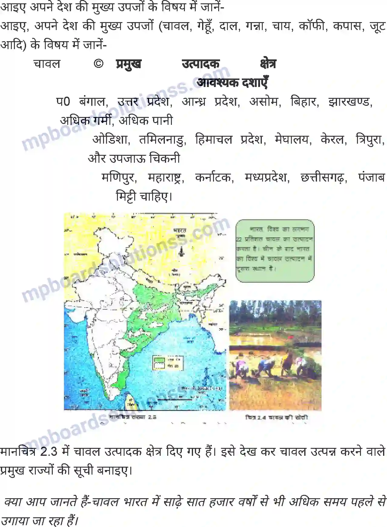 MP Board Book for Class 8 Social Science भारत - कृषि एवं सिंचाई Image 4