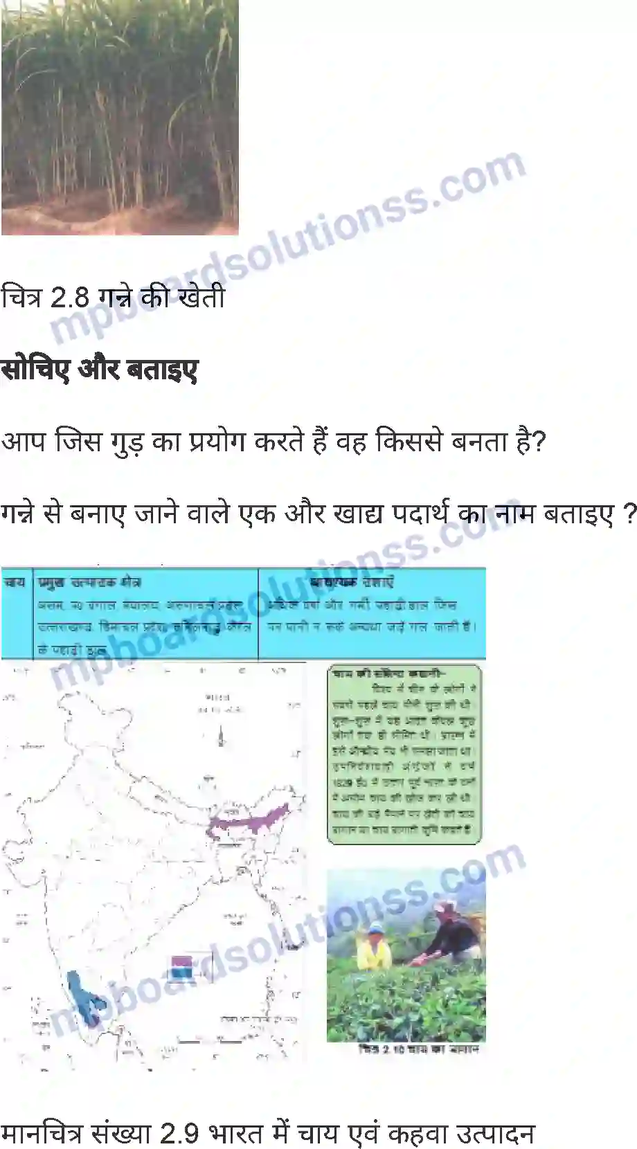 MP Board Book for Class 8 Social Science भारत - कृषि एवं सिंचाई Image 7