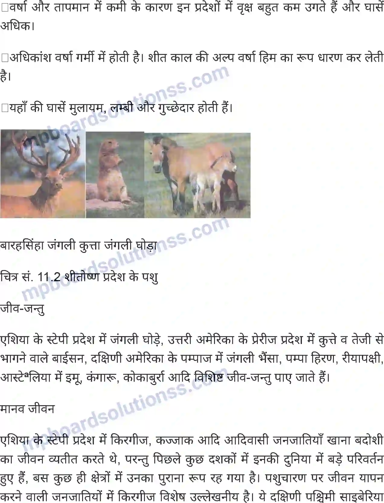 MP Board Book for Class 8 Social Science प्राकृतिक प्रदेश एवं जनजीवन - 1 Image 3