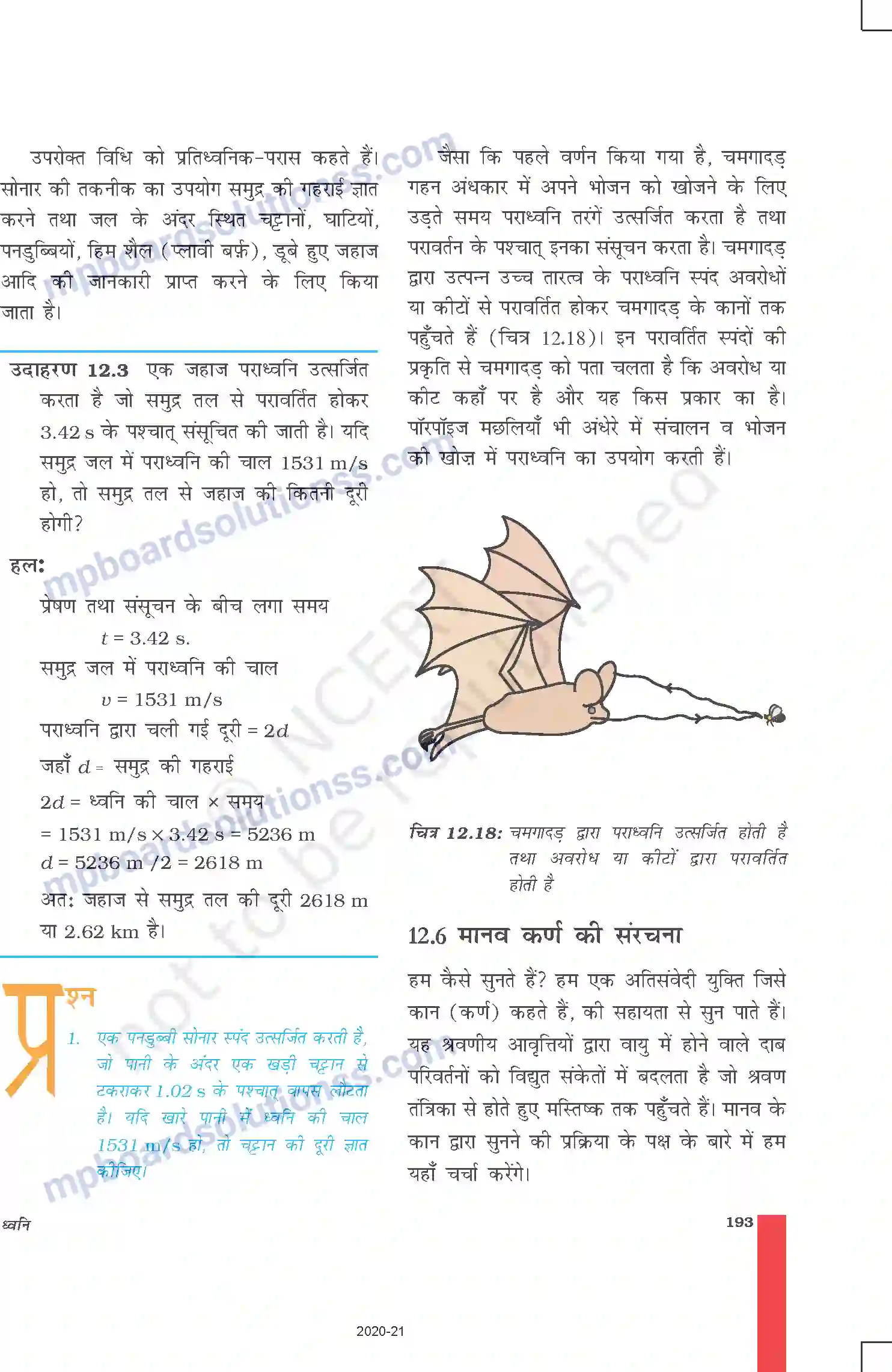 MP Board Book for Class 9 Science ध्वनि Image 15