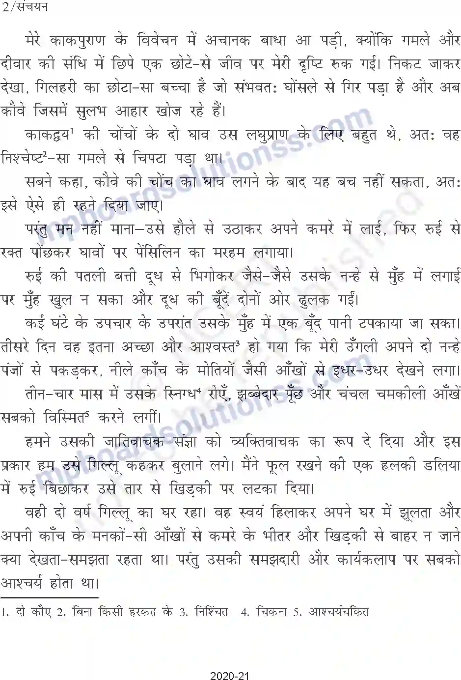 MP Board Book for Class 9 Hindi गिल्लू Image 2