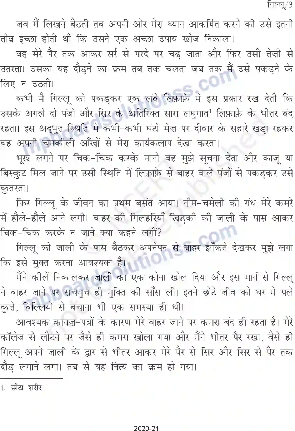 MP Board Book for Class 9 Hindi गिल्लू Image 3