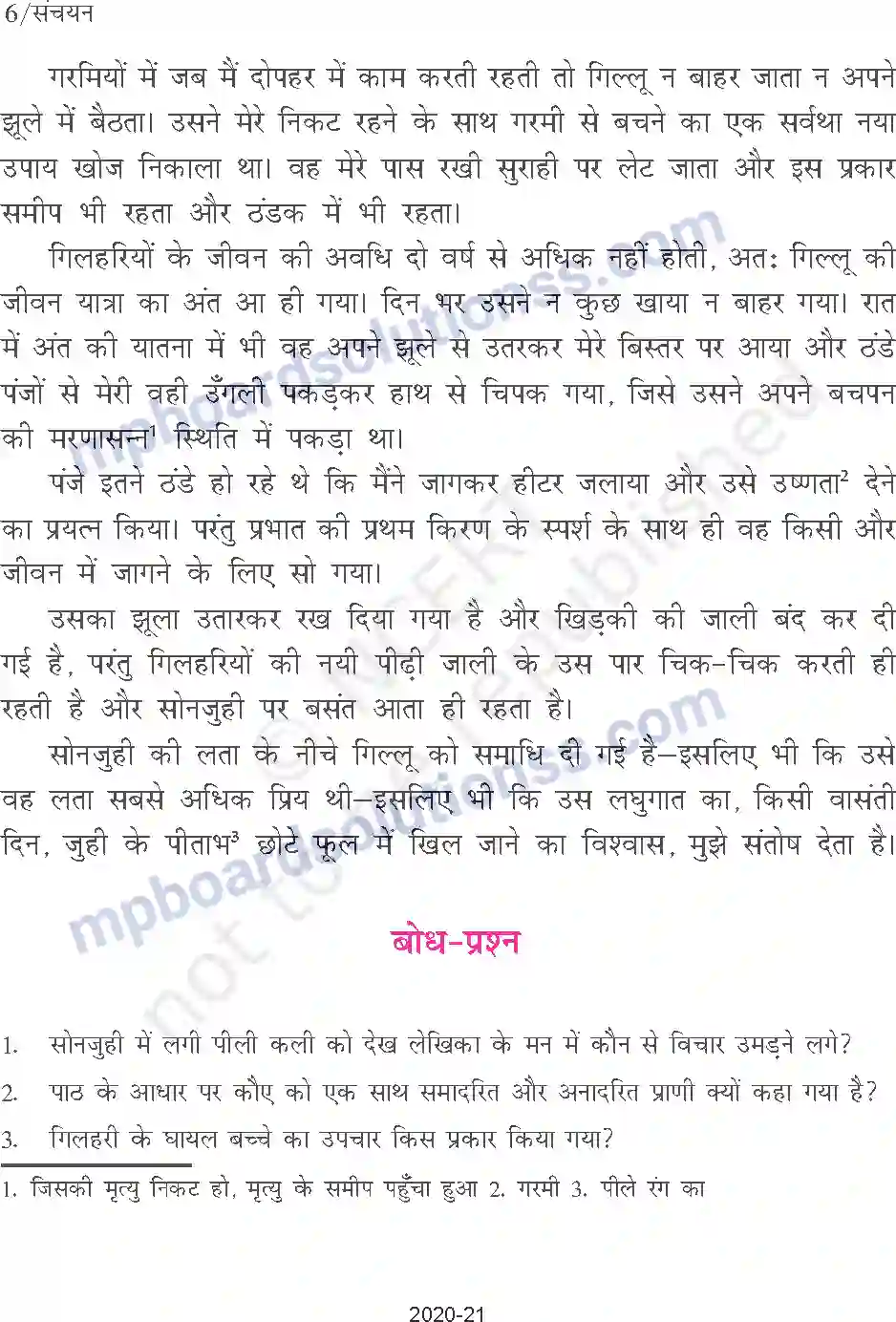 MP Board Book for Class 9 Hindi गिल्लू Image 6