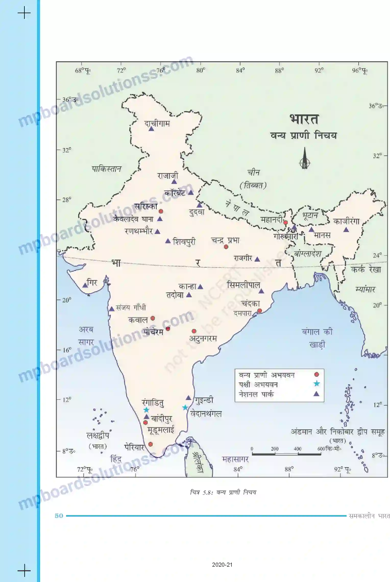 MP Board Book for Class 9 Social Science प्राकृतिक वनस्पति तथा वन्य प्राणी Image 8