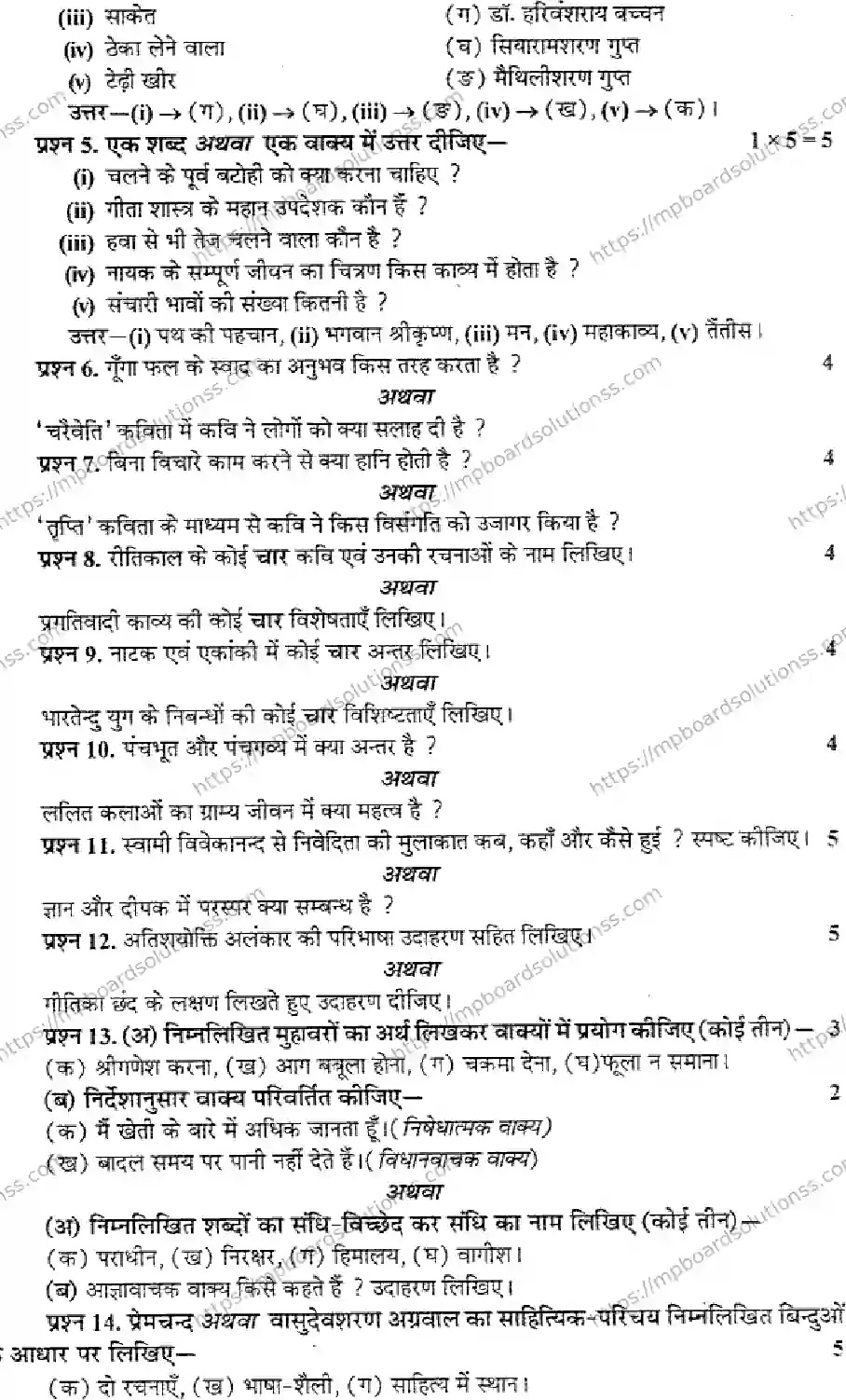 MP Board Class 10 Hindi General-892145 Final Paper 2013 Image 2