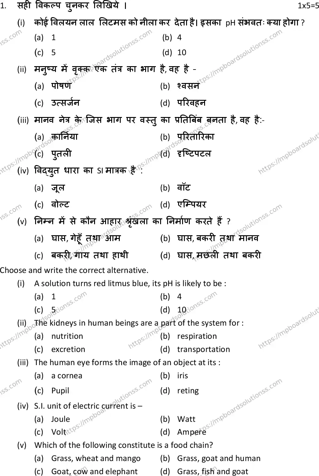 MP Board Class 10 Science HE-860643 Final Paper 2019 Image 2