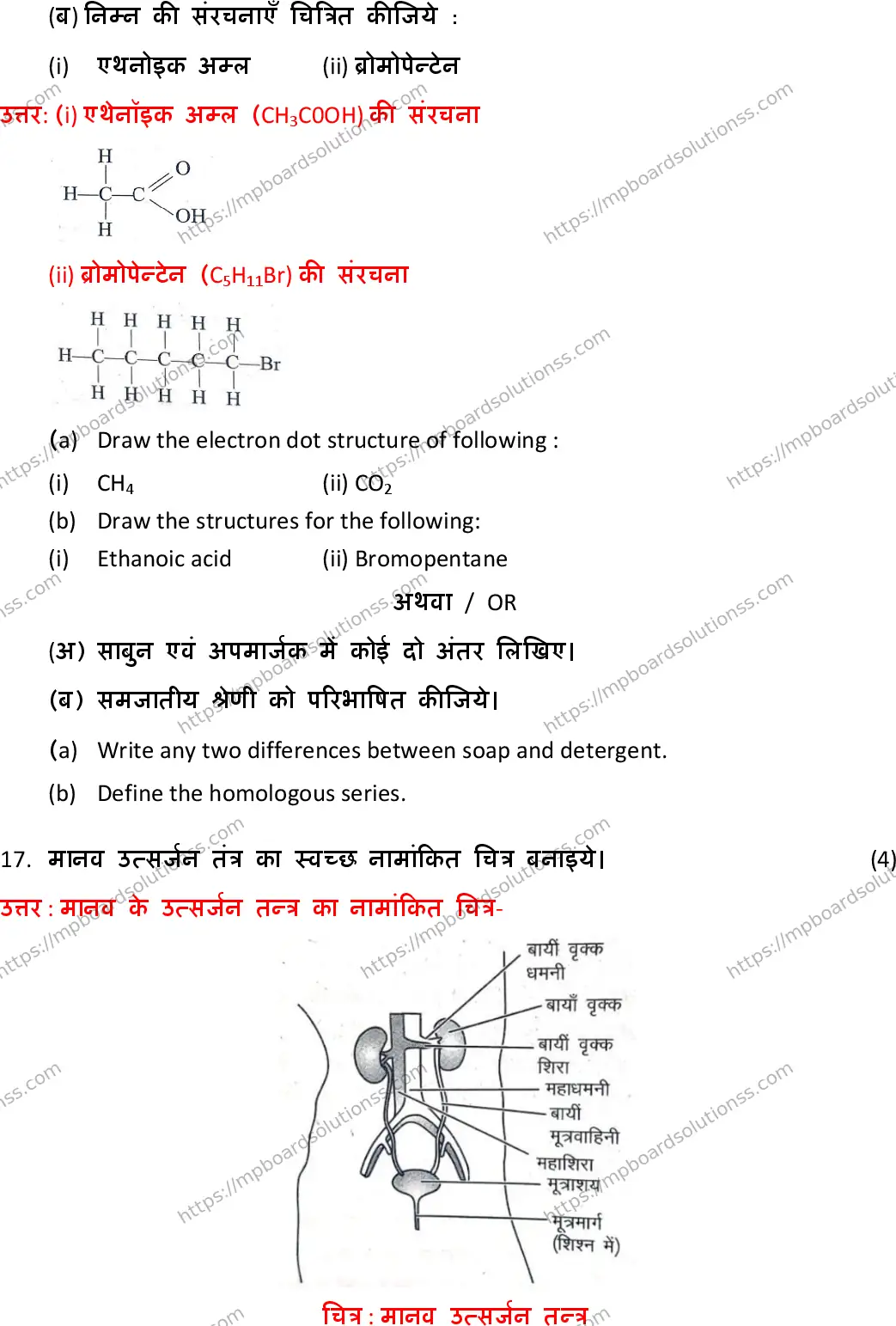MP Board Class 10 Science HE With Answer-770200 Final Paper 2019 Image 13