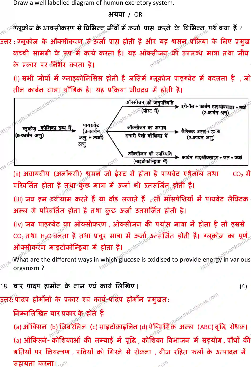 MP Board Class 10 Science HE With Answer-770200 Final Paper 2019 Image 14