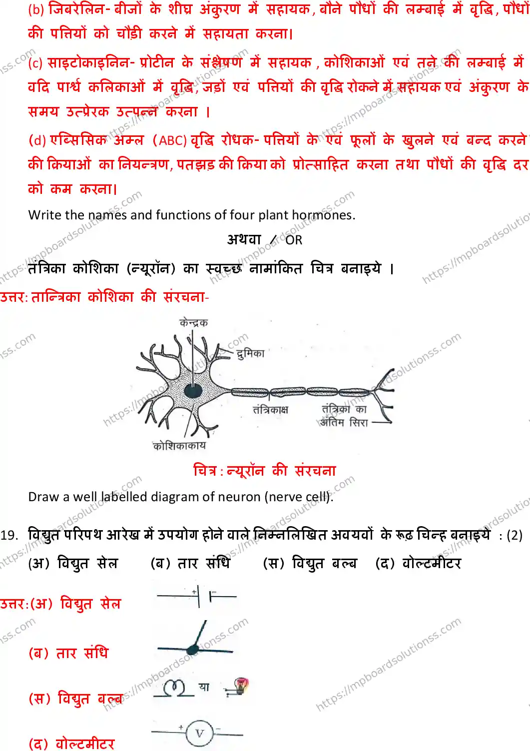 MP Board Class 10 Science HE With Answer-770200 Final Paper 2019 Image 15