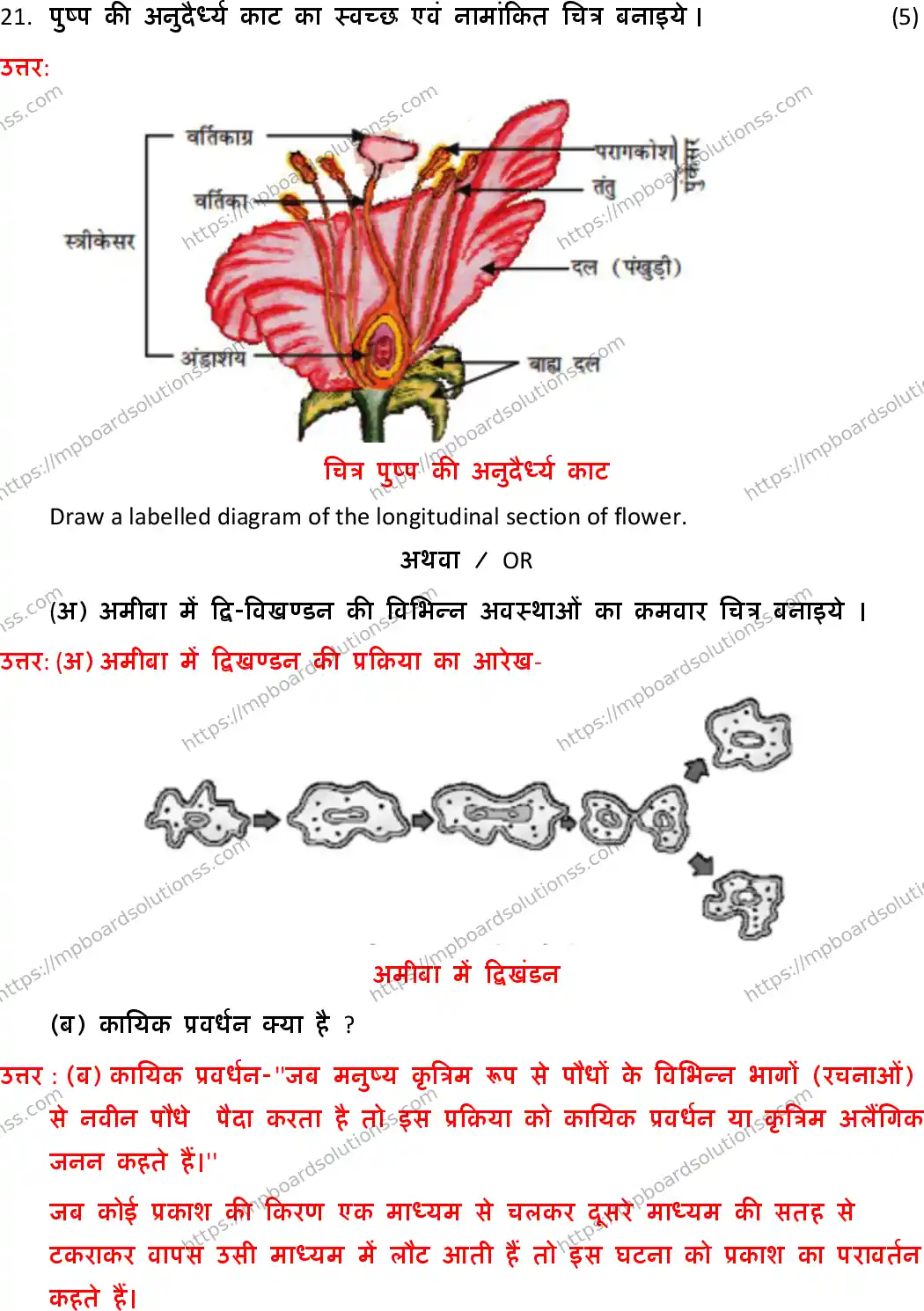 MP Board Class 10 Science HE With Answer-770200 Final Paper 2019 Image 18