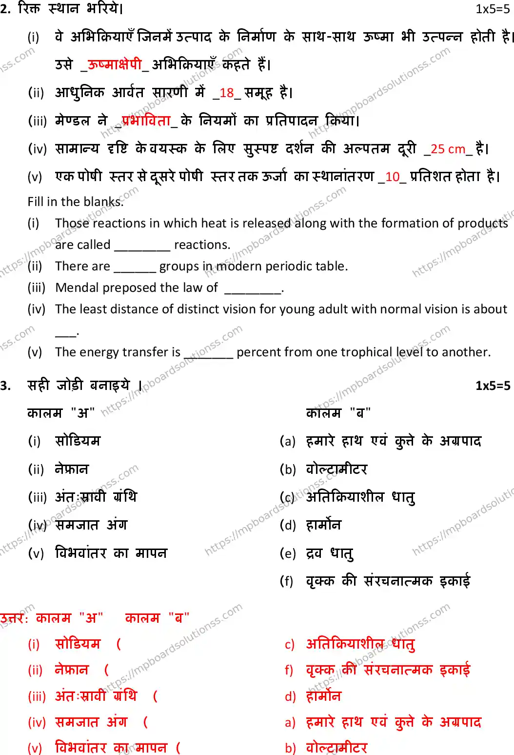 MP Board Class 10 Science HE With Answer-770200 Final Paper 2019 Image 3