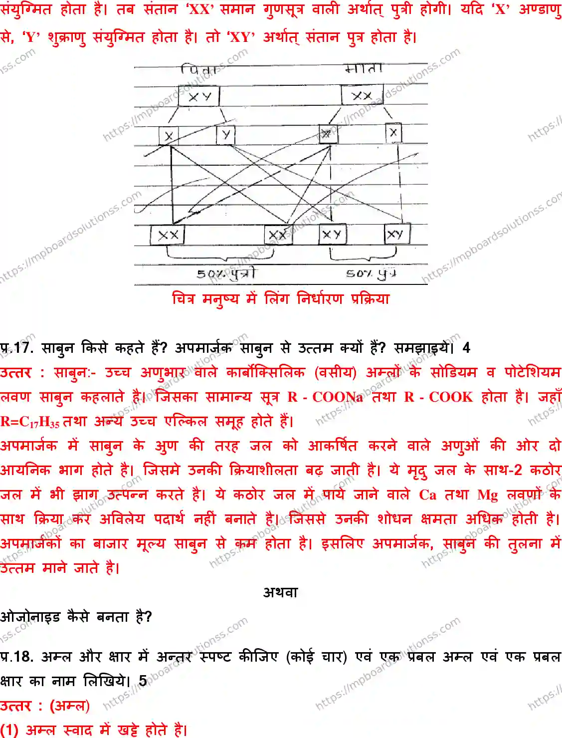 MP Board Class 10 Science HM With Answer-362274 Final Paper 2017 Image 10