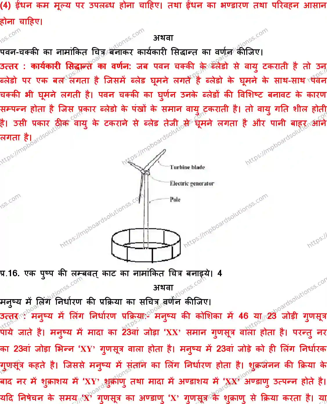 MP Board Class 10 Science HM With Answer-362274 Final Paper 2017 Image 9