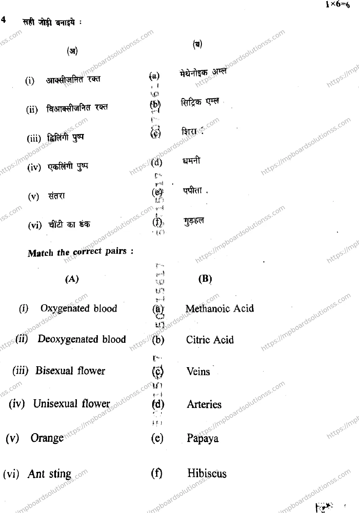 MP Board Class 10 Science Set A-777610 Final Paper 2025 Image 6