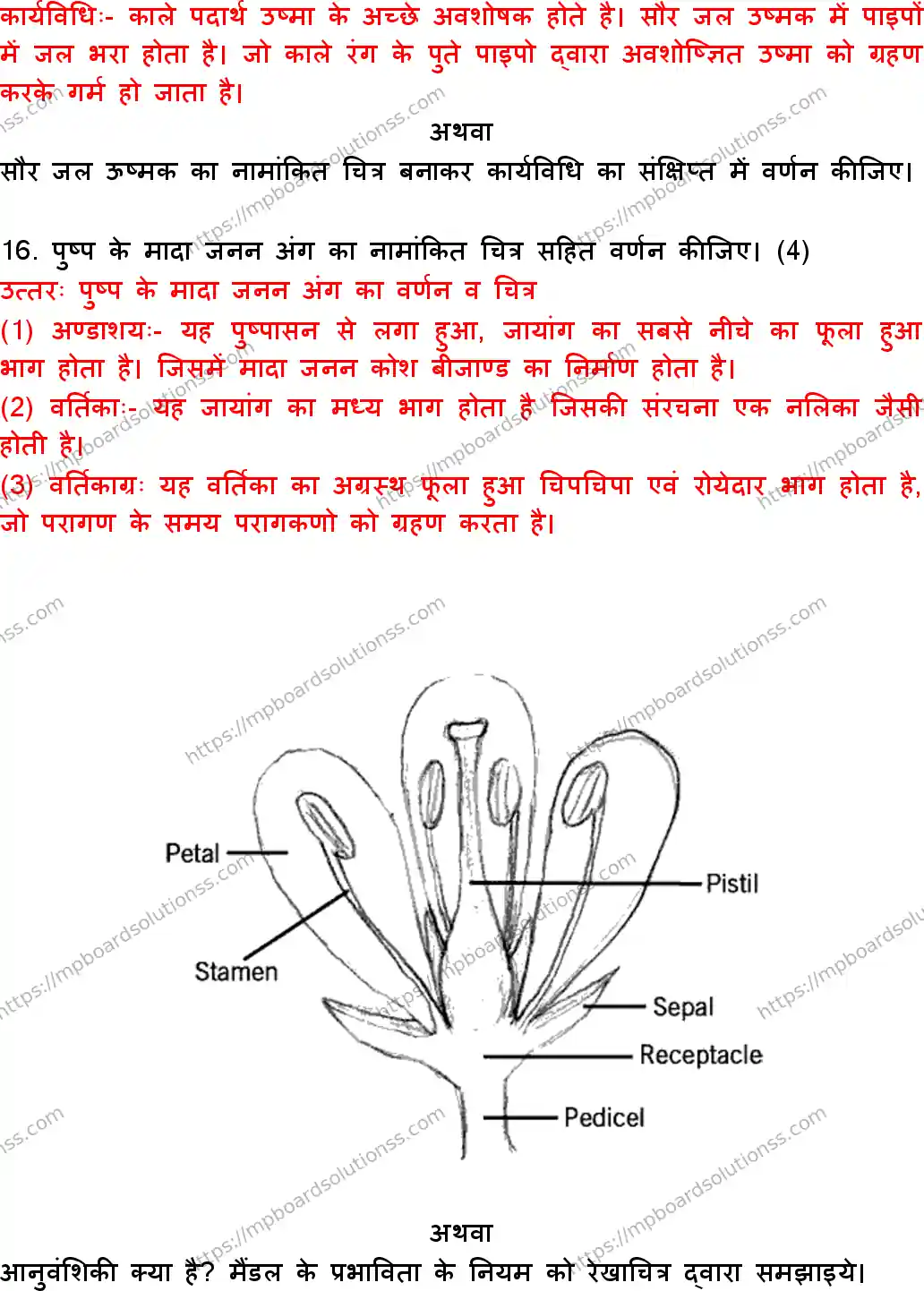 MP Board Class 10 Science With Answer-579301 Final Paper 2018 Image 10