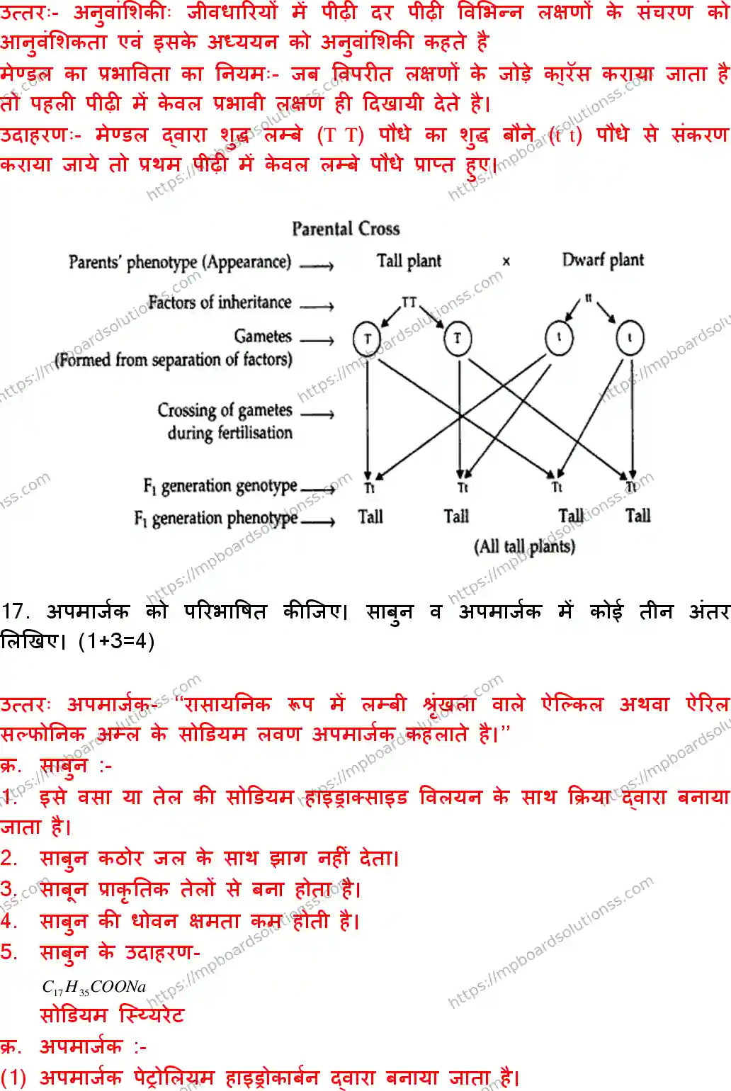 MP Board Class 10 Science With Answer-579301 Final Paper 2018 Image 11