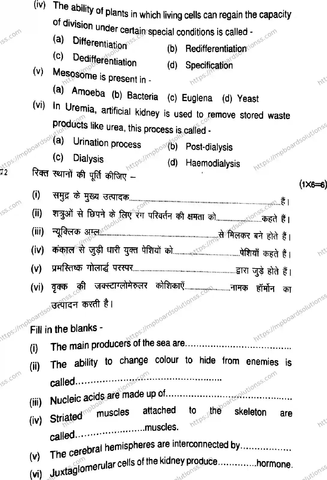 MP Board Class 11 Biology-131453 Final Paper 2026 Image 3