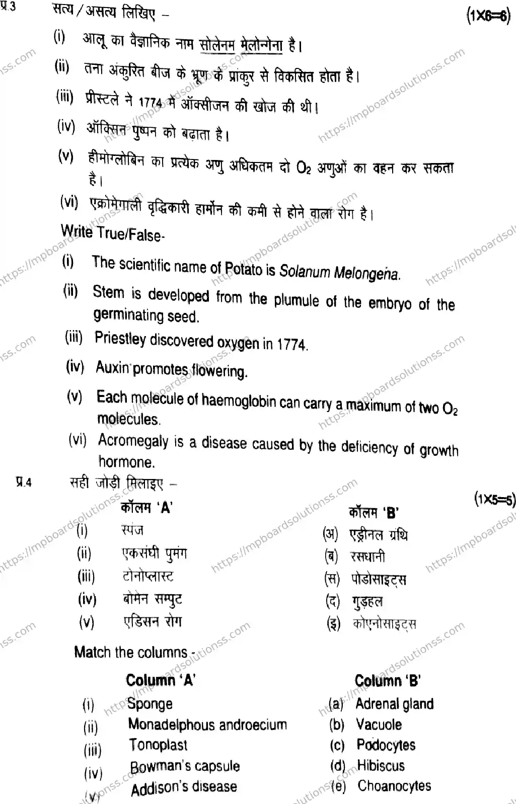 MP Board Class 11 Biology-131453 Final Paper 2026 Image 4