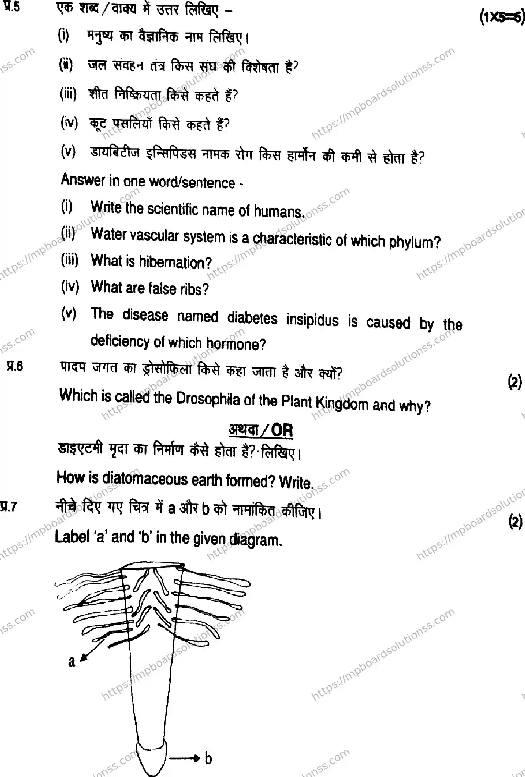 MP Board Class 11 Biology-131453 Final Paper 2026 Image 5