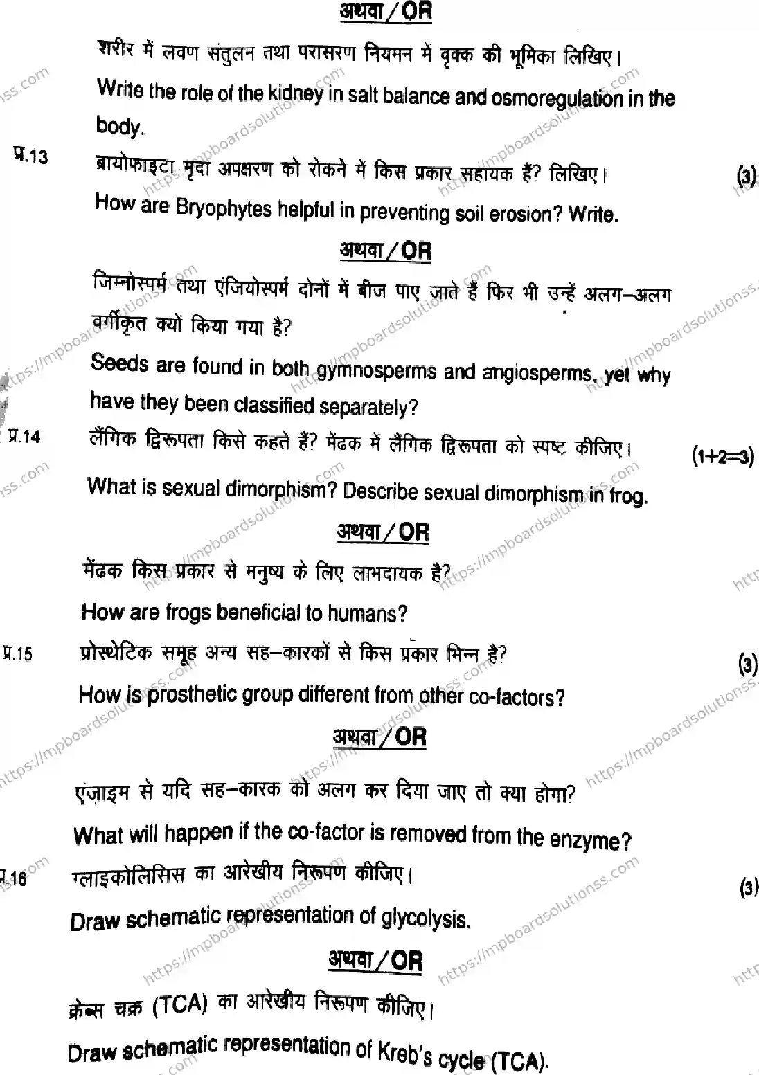MP Board Class 11 Biology-131453 Final Paper 2026 Image 7