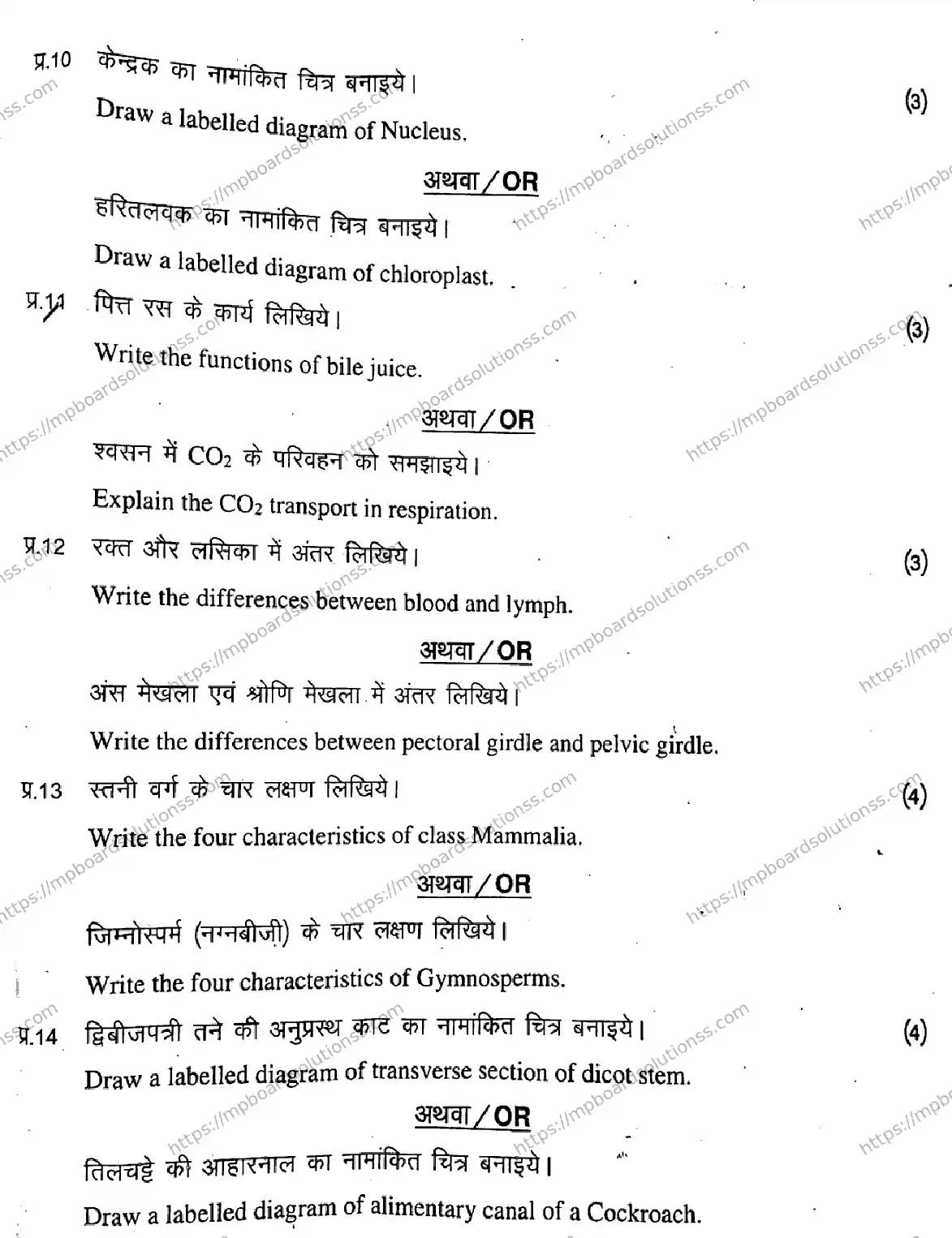MP Board Class 11 Biology-301292 Final Paper 2020 Image 7