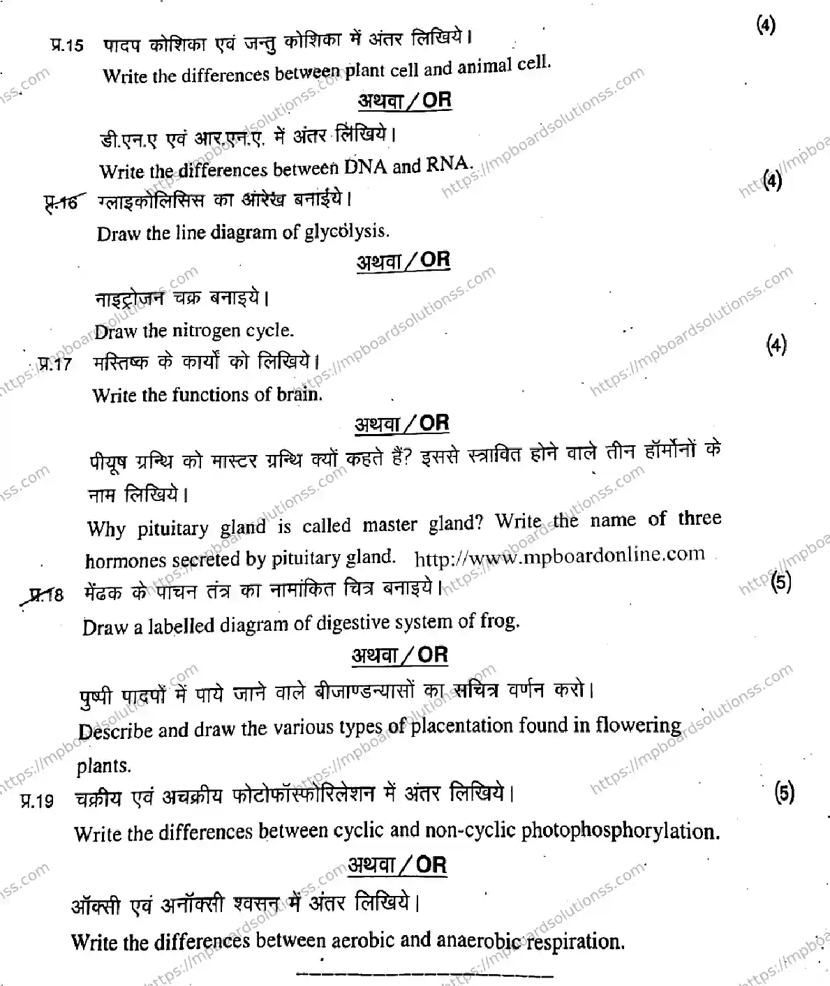 MP Board Class 11 Biology-301292 Final Paper 2020 Image 8