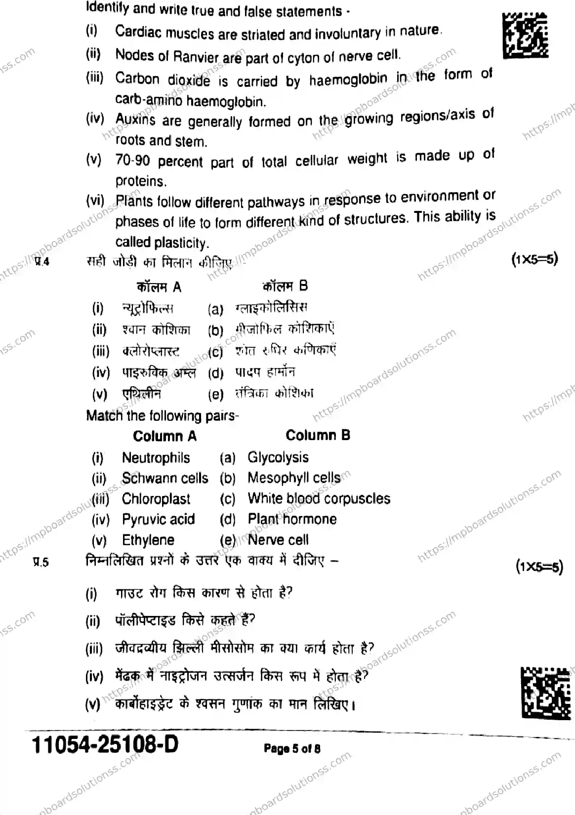 MP Board Class 11 Biology-302558 Final Paper 2025 Image 5