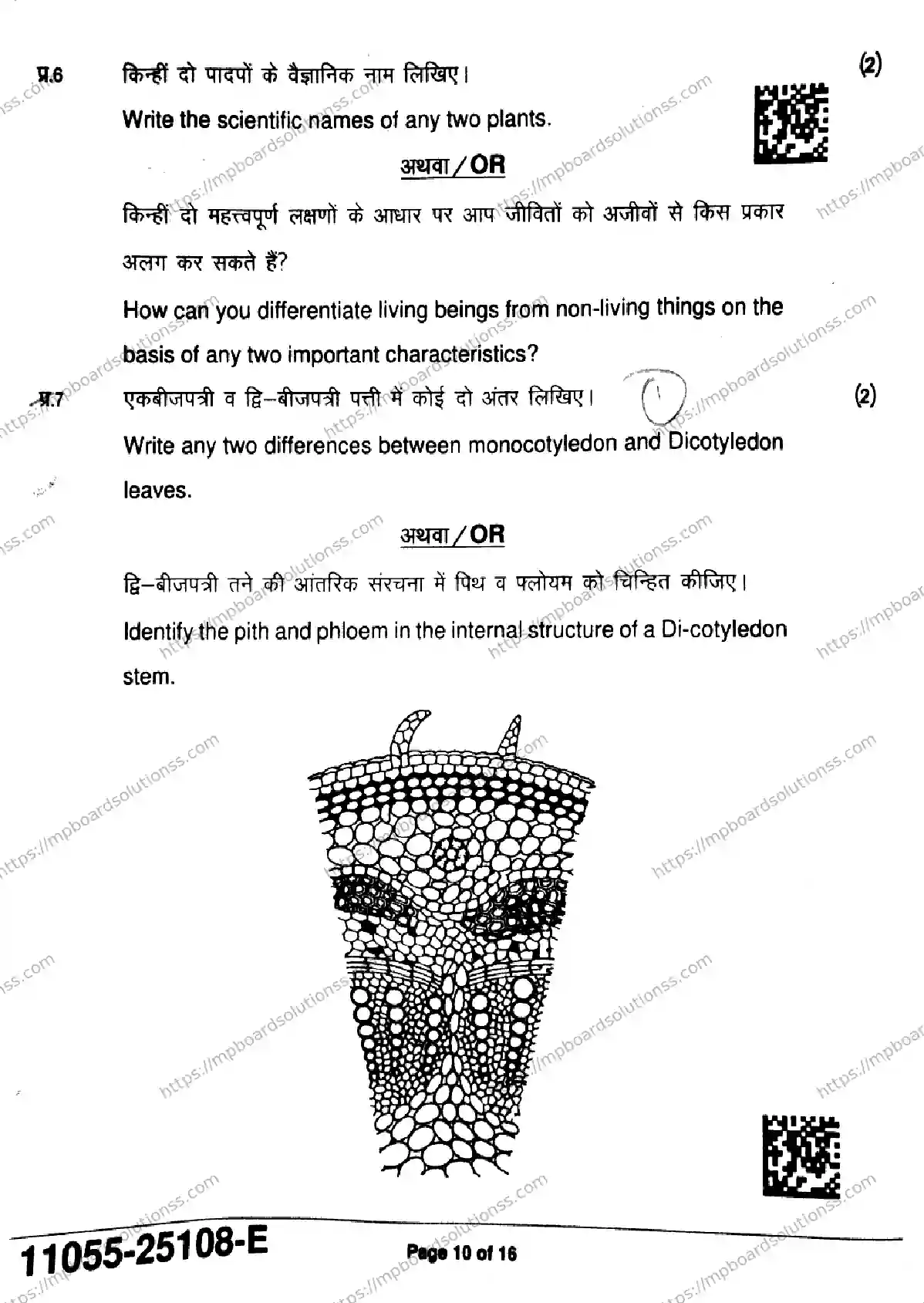 MP Board Class 11 Biology-326932 Final Paper 2025 Image 10