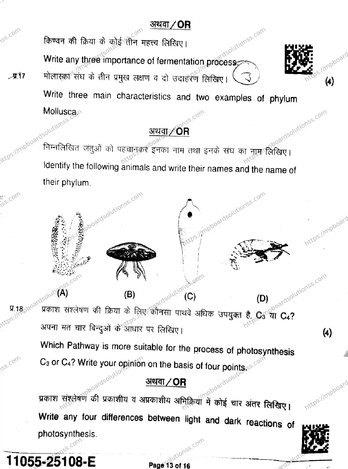 MP Board Class 11 Biology-326932 Final Paper 2025 Image 13