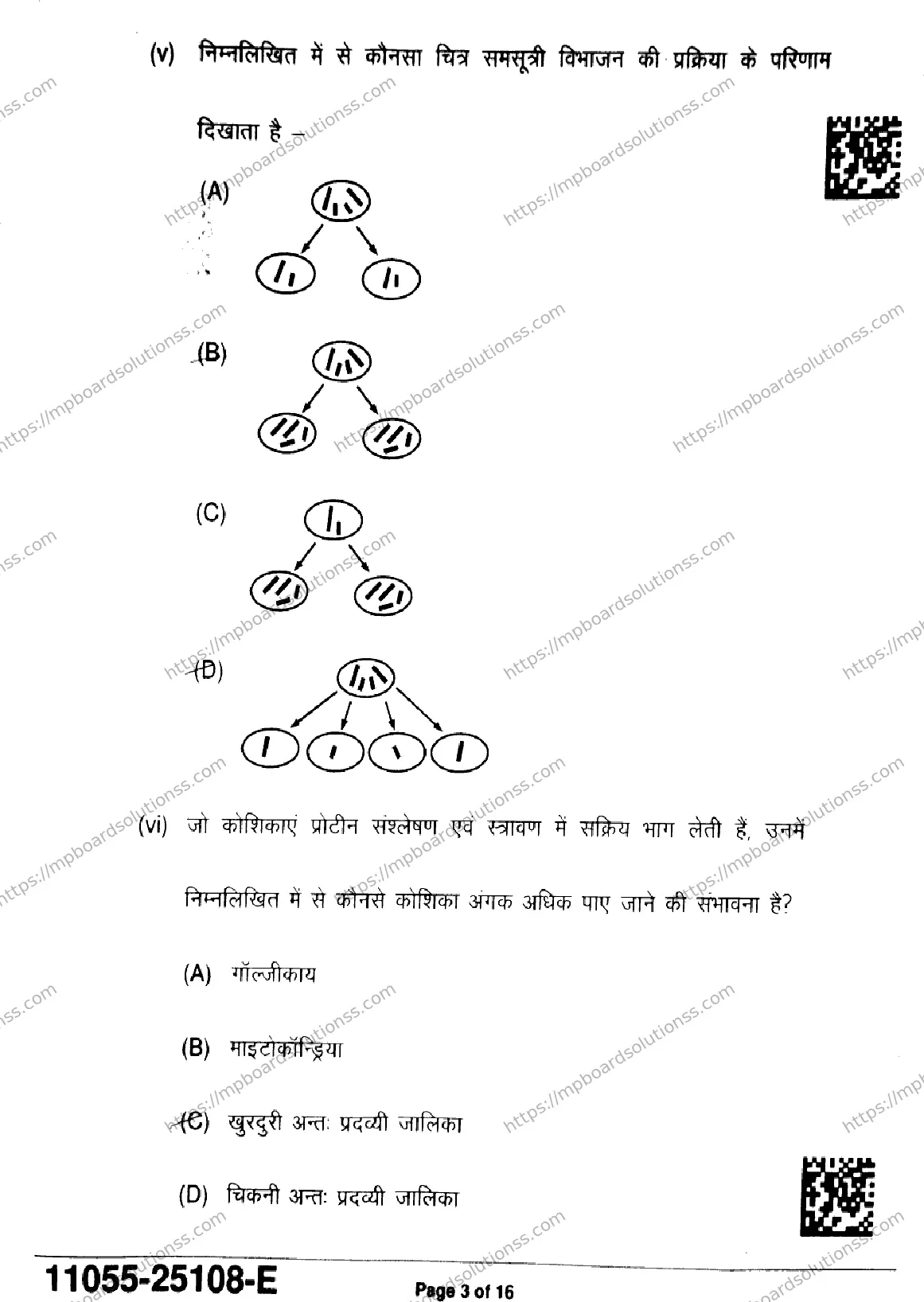 MP Board Class 11 Biology-326932 Final Paper 2025 Image 3