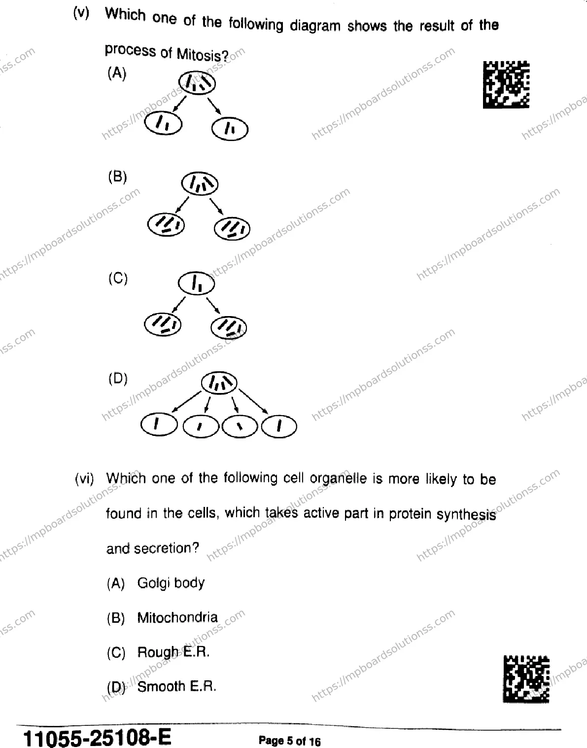 MP Board Class 11 Biology-326932 Final Paper 2025 Image 5