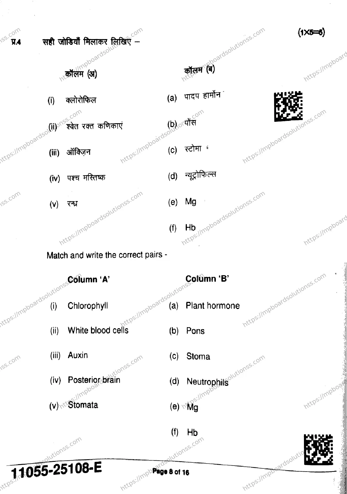 MP Board Class 11 Biology-326932 Final Paper 2025 Image 8