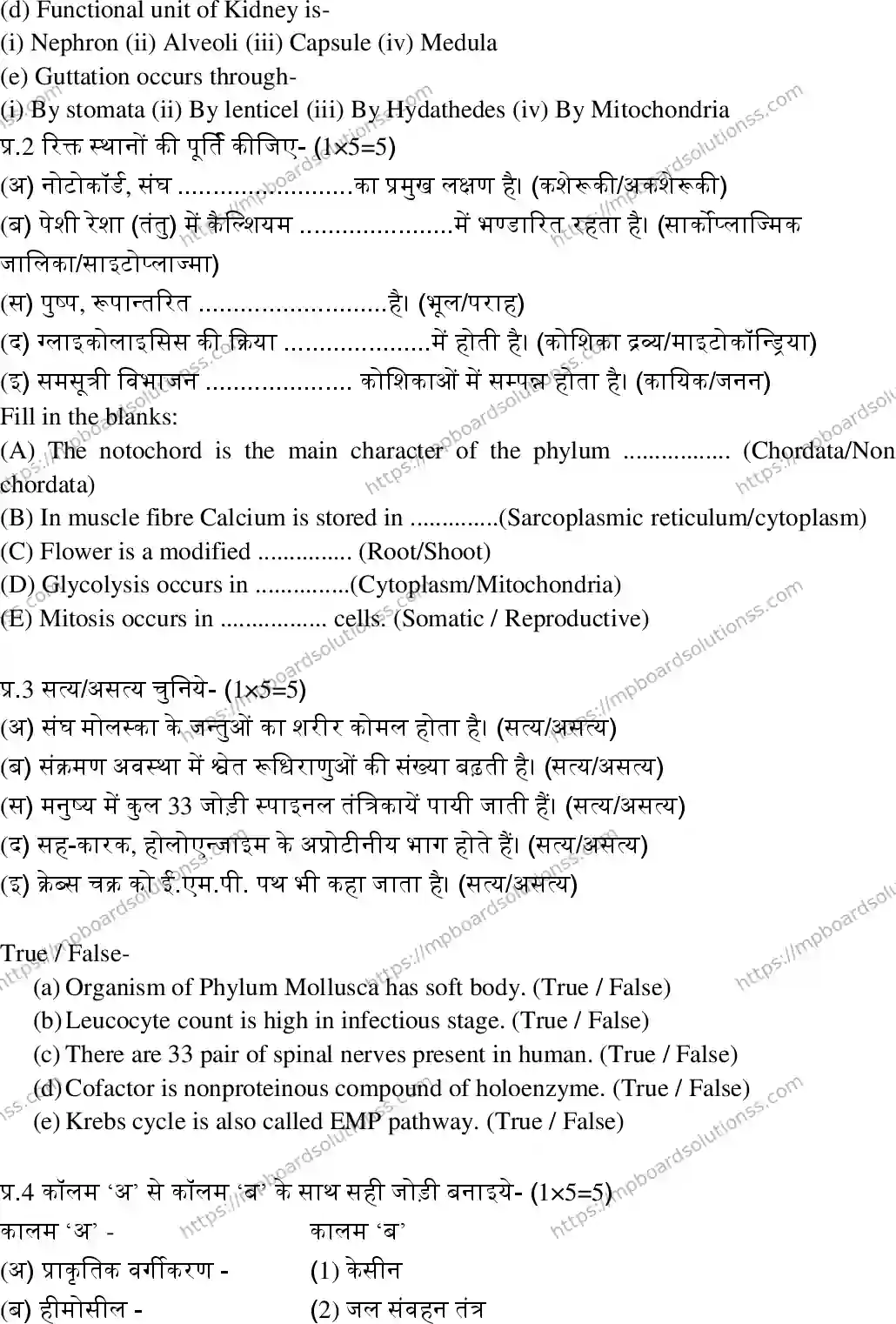 MP Board Class 11 Biology-384388 Final Paper 2018 Image 2