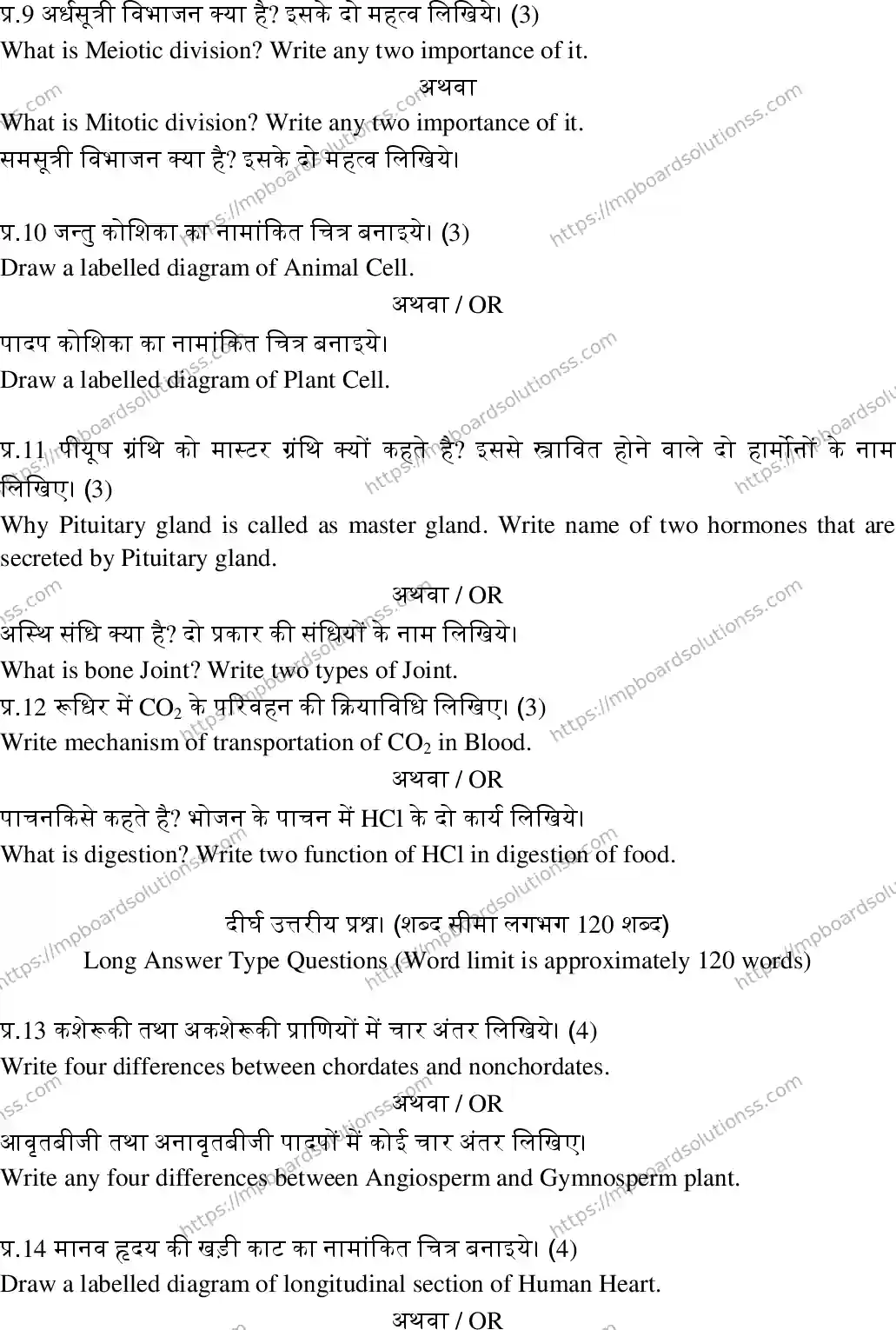 MP Board Class 11 Biology-384388 Final Paper 2018 Image 4