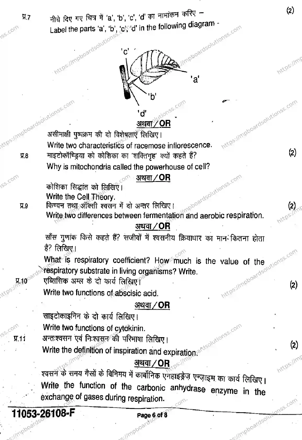 MP Board Class 11 Biology-388958 Final Paper 2026 Image 6