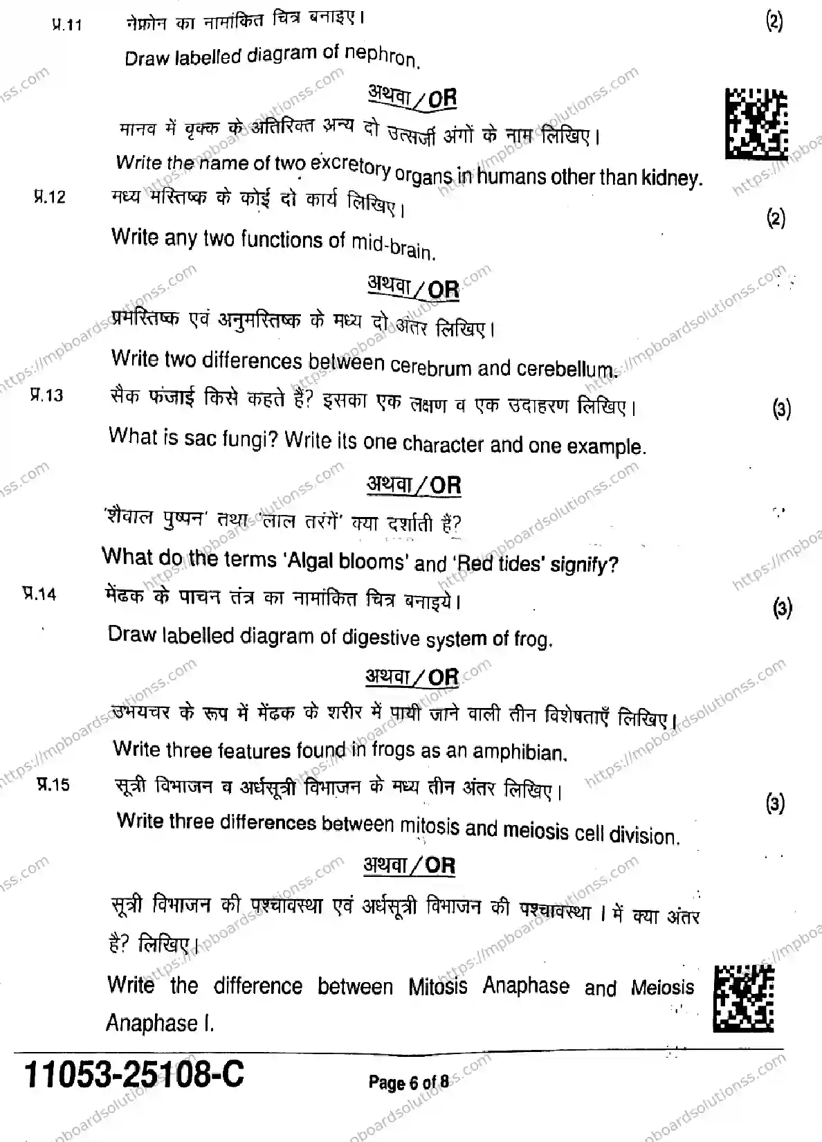 MP Board Class 11 Biology-526084 Final Paper 2025 Image 6